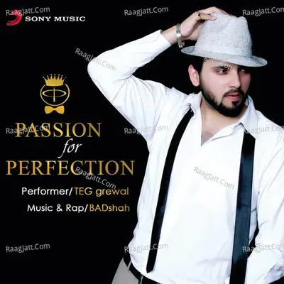 Passion for Perfection Poster