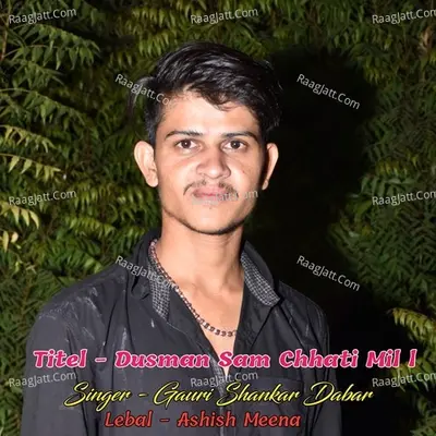 Dusman Sam Chhati Mil l Cover