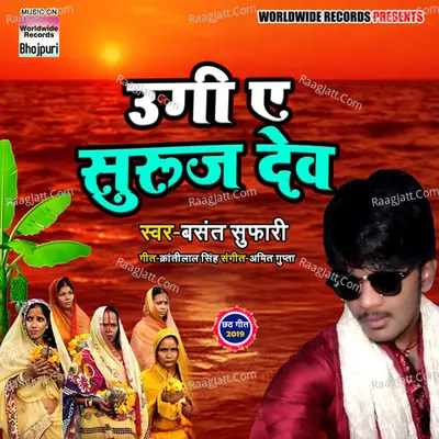 Basant Sufari Image