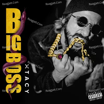 Big Boss Cover