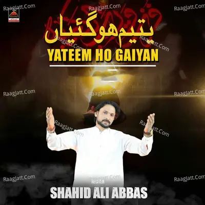 Shahid Ali Abbas Image