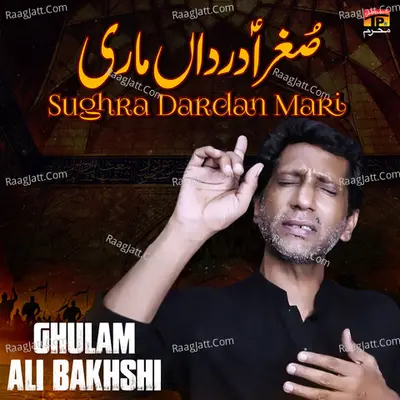 Sughra Dardan Mari - Single