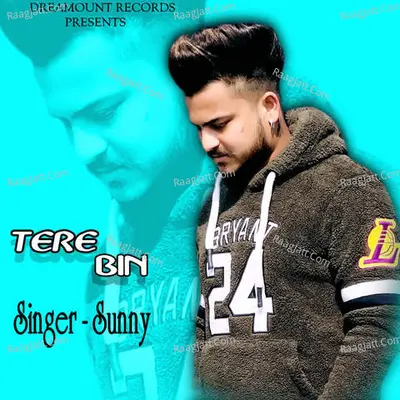 Tere Bin Cover