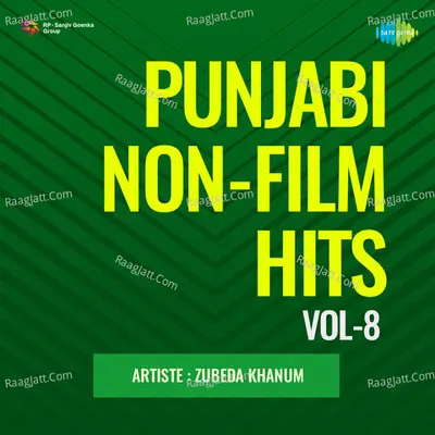 Punjabi Non - Film Hits Vol - 8 Cover
