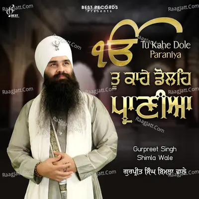 Tu Kahe Dole Paraniya Poster