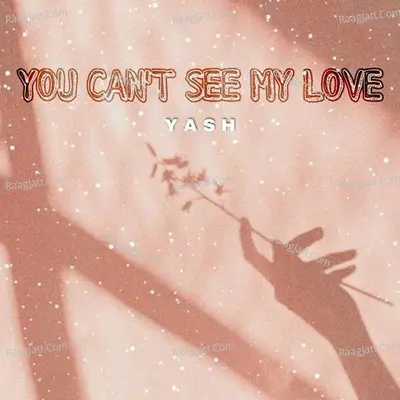 You Can't See My Love Cover