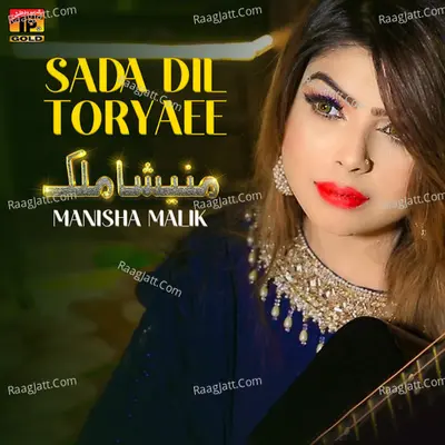 Sada Dil Toryaee - Single Cover