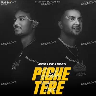 Piche Tere - Harsh