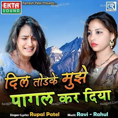 Dil Todke Mujhe Pagal Kar Diya Cover
