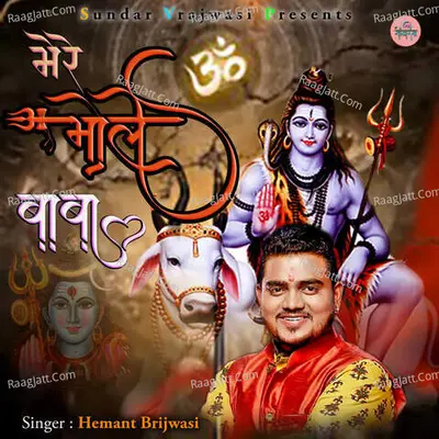 Hemant Brijwasi Image