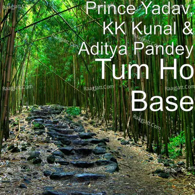 Aditya Pandey