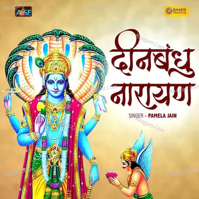 Deenbandhu Narayan Cover