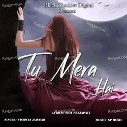 Tu Mera Hai