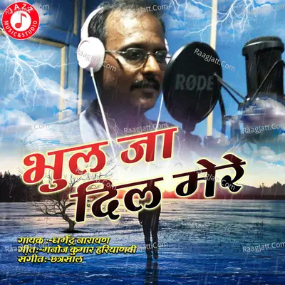 Bhool Jaa Dil Mere - Single