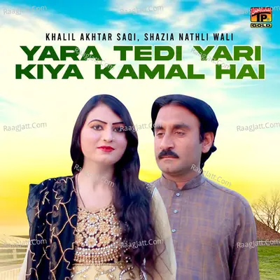 Yara Tedi Yari Kiya Kamal Hai - Single Cover