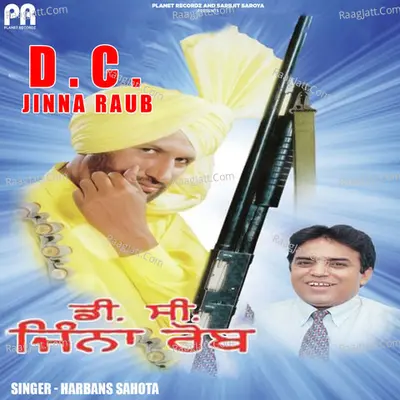 D.C. Jinna Raub Poster
