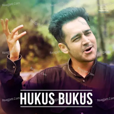 Hukus Bukus Cover