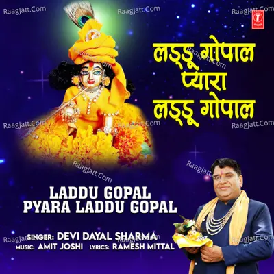 Devi Dayal Sharma Image