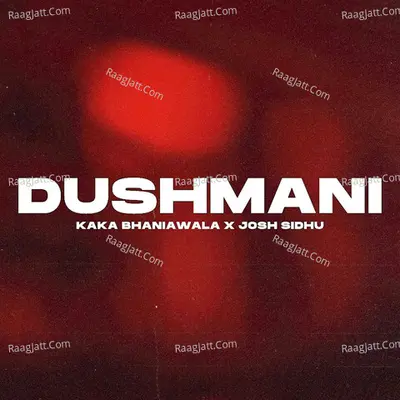 Josh Sidhu Image
