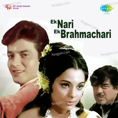 Ek Nari Ek Brahmachari Poster