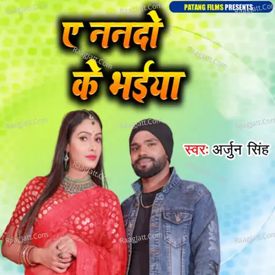 Ye Nando Ke Bhaiya Cover
