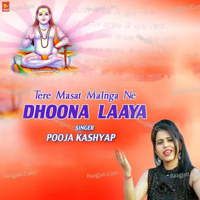 Tere Masat Malnga Ne Dhoona Laya Cover
