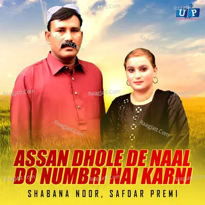 Assan Dhole De Naal Do Numbri Nai Karni - Single Cover