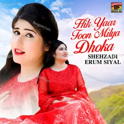 Hik Yaar Toon Milya Dhoka - Single