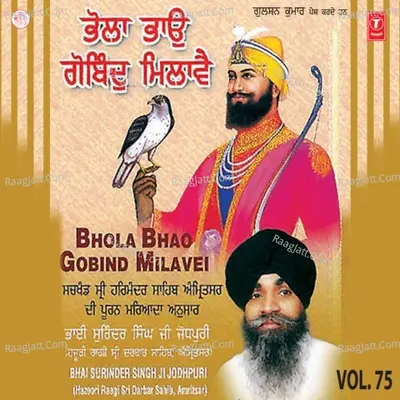 Bhola Bhao Gobind Milave - Bhai Surinder Singh Ji-Jodhpuri