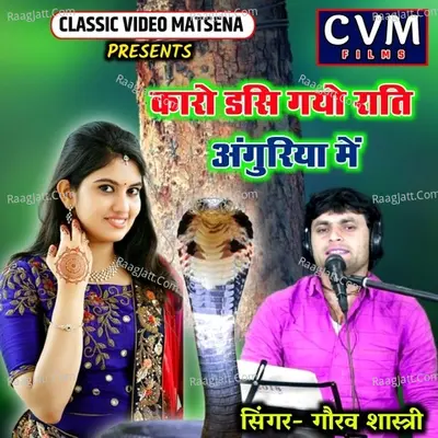 Gaurav Shastri Image