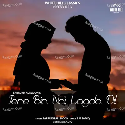 Tere Bin Nai Lagda Dil Cover