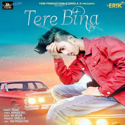 Tere Bina