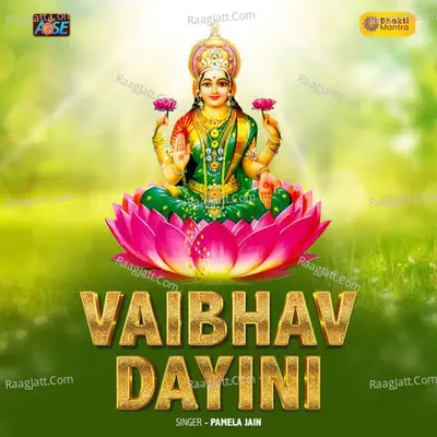 Vaibhav Dayini Cover
