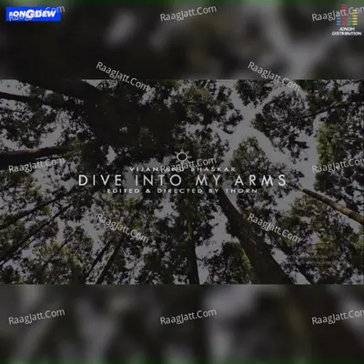 Dive Into My Arms Poster