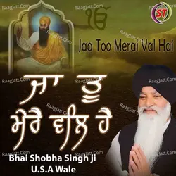 Jaa Too Merai Val Hai