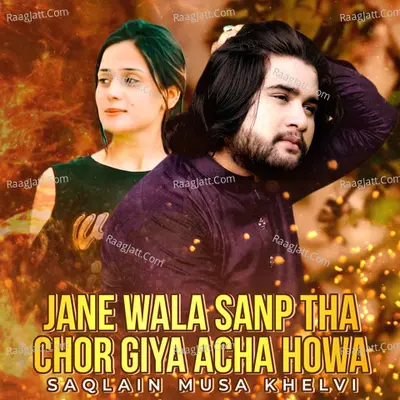 Jane Wala Sanp Tha Chor Giya Acha Howa - Saqlain Musa Khelvi