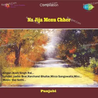 Na Jija Menu Chher Poster