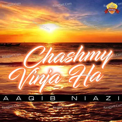 Chashmy Vinja Ha - Aaqib Niazi