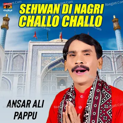 Sehwan Di Nagri Challo Challo - Single Cover