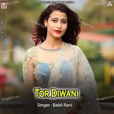 Tor Diwani