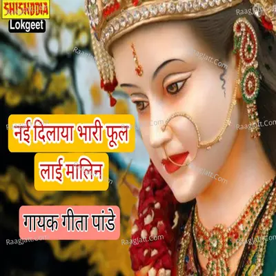 Nai Delaiya Bhari Phool Lai Malin Cover