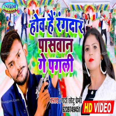 hova hai ragdar pawan ge pagli Cover