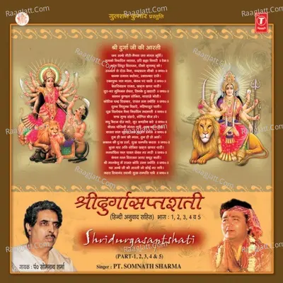 Shridurgasaptshati Poster