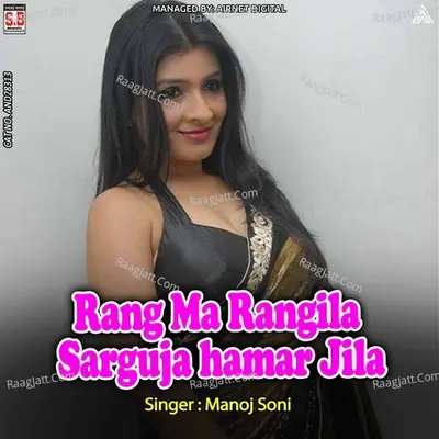 Rang Ma Rangila Sarguja hamar Jila Cover