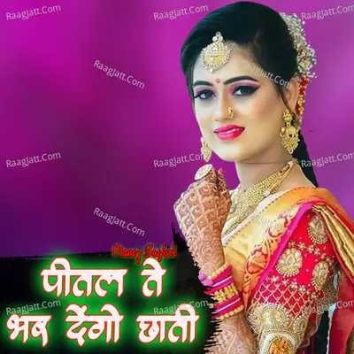 Peetal Te Bhar Dengo Chhati Cover