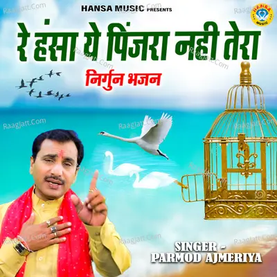 Re Hansa Ye Pinjra Nahi Tera Cover