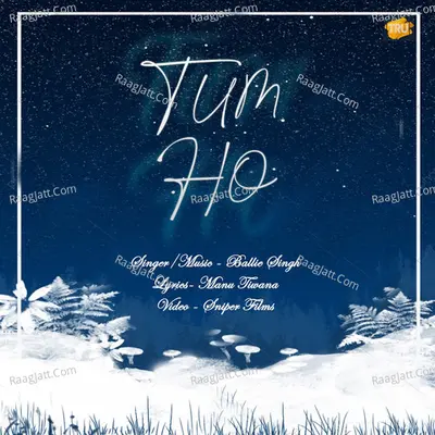 Tum Ho Cover