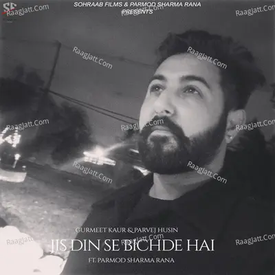 Jis Din Se Bichde Hai Cover