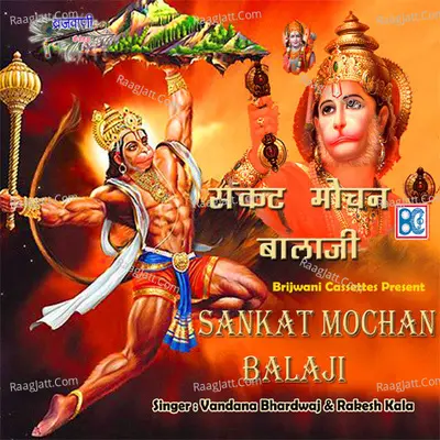 Sankatmochan Balaji Poster