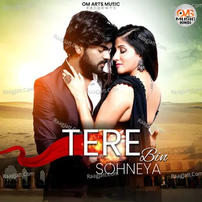 Tere Bin Sohneya Cover